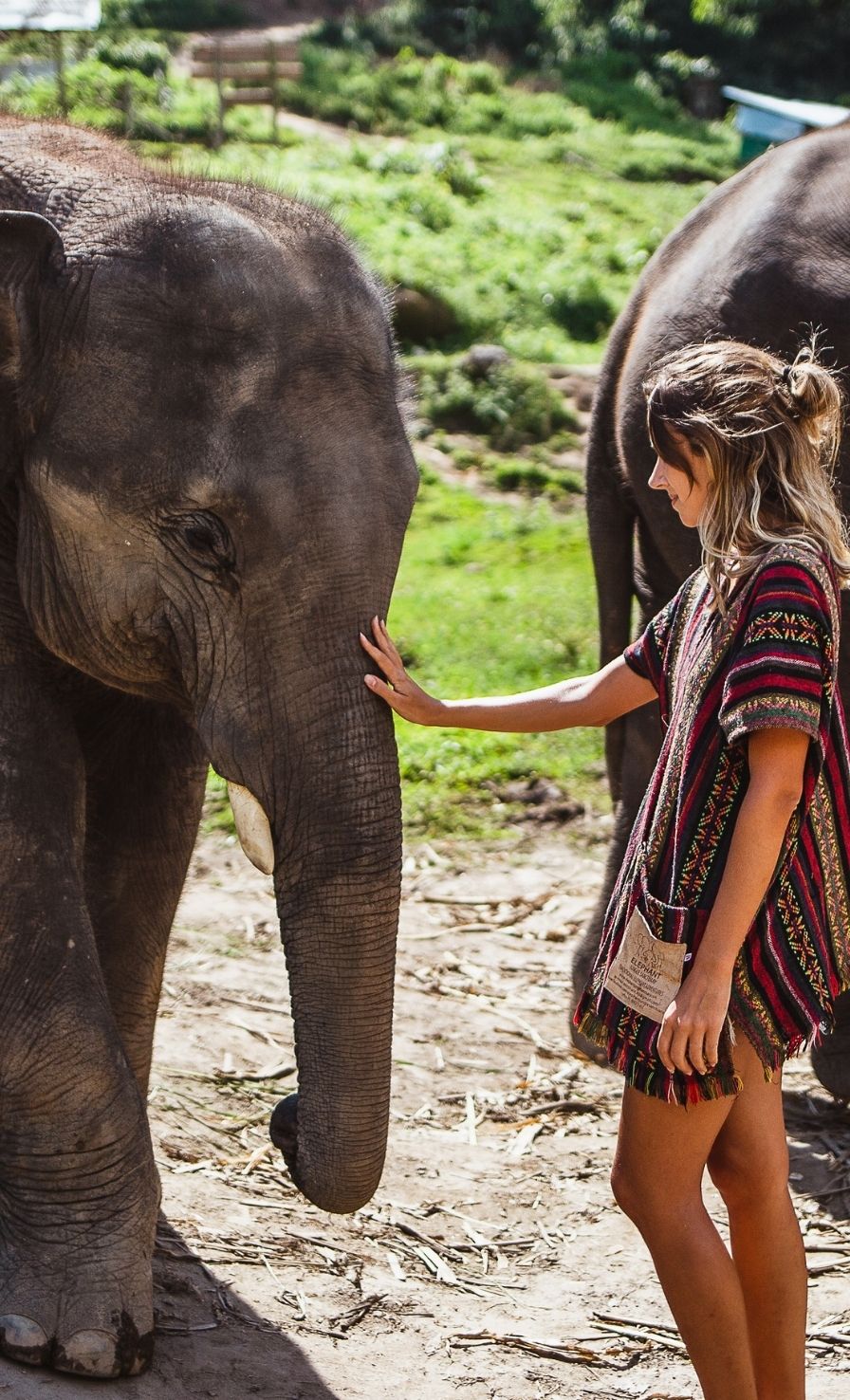 2-1.jpg